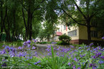 Potencial (Kulakov Lane, 7к1) ، مدرسة خاصة