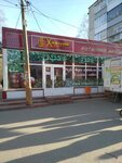 Khmelnoy domik (Khrustalnaya Street, 19А), beer shop