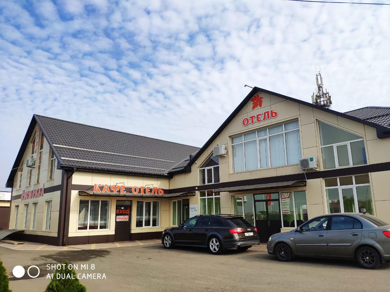 Фото Листопад