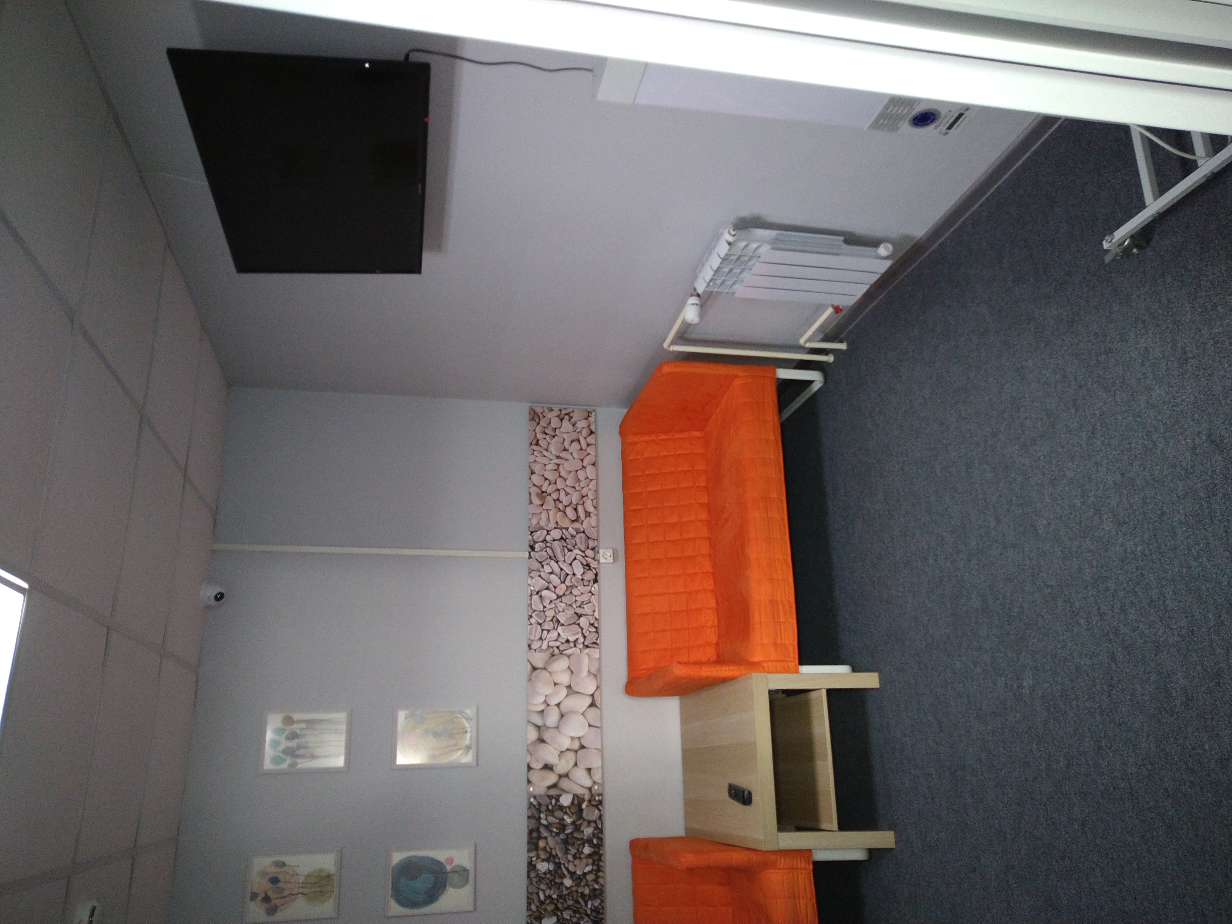 Фото Овсянка