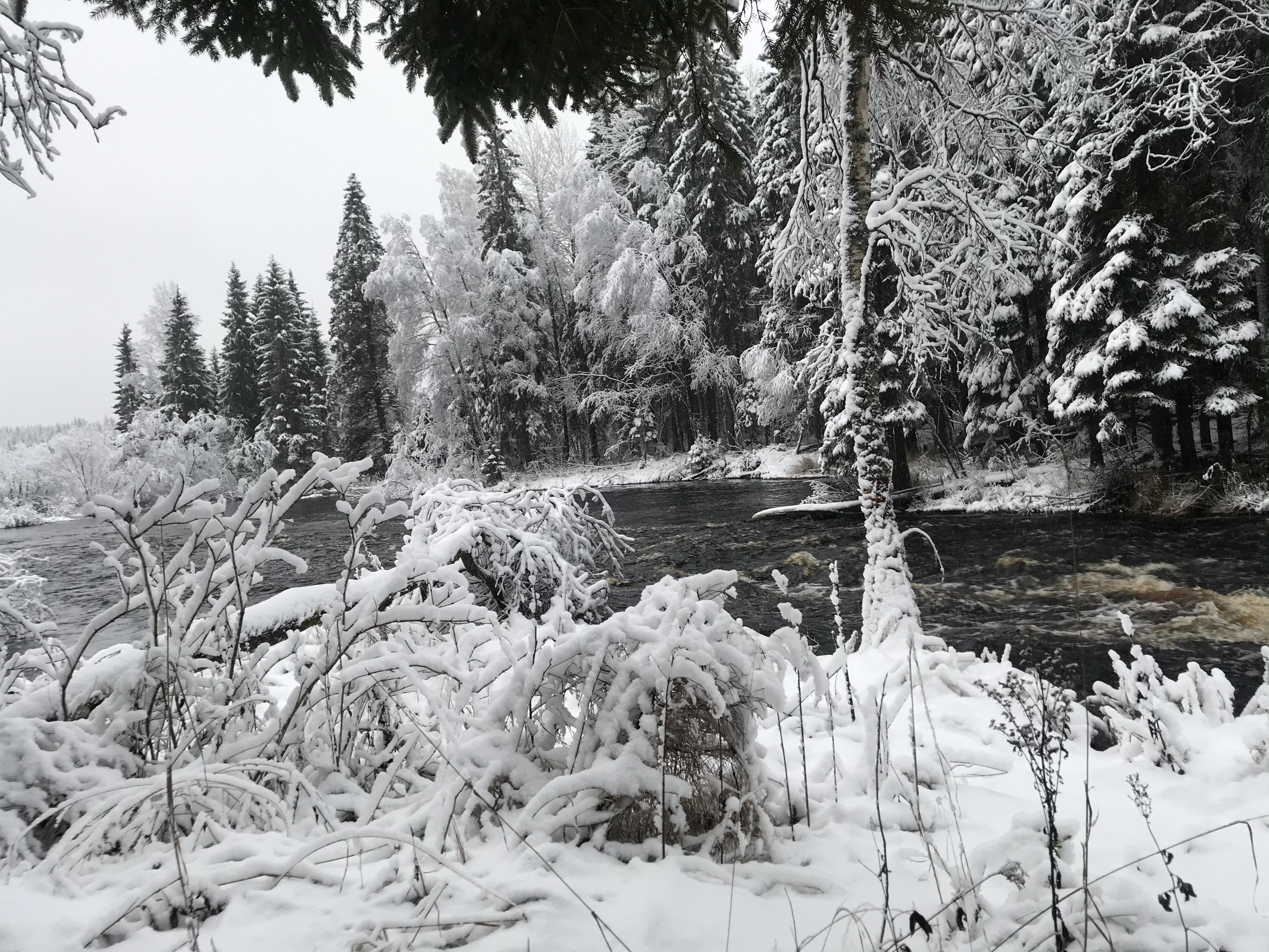 Фото Дом и река
