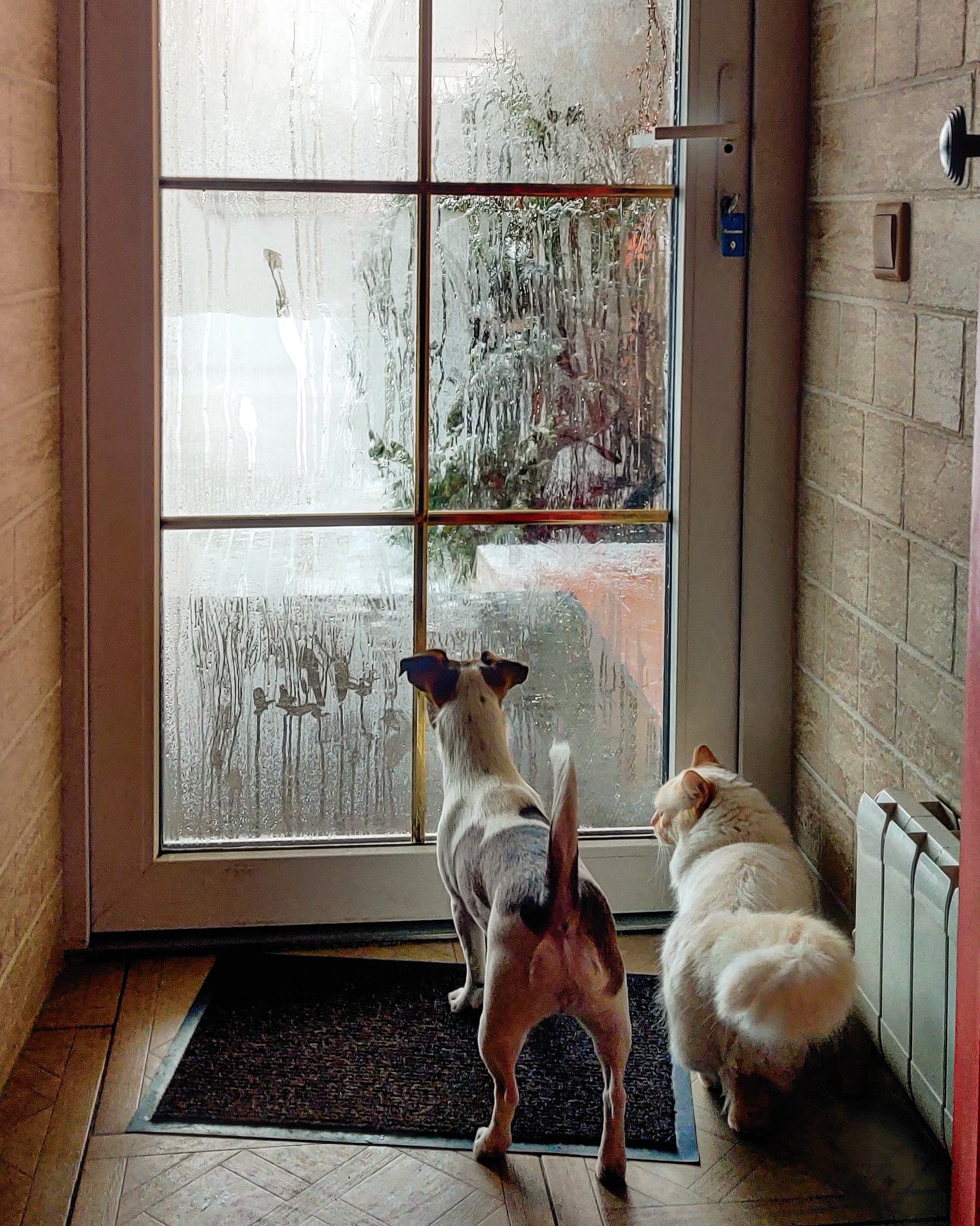 Фото Мотель Илевники