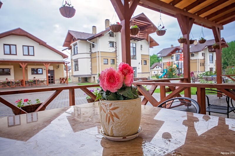 Фото Аврора