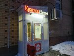 Krasnoe&Beloe (Plekhanova Street, 66), grocery