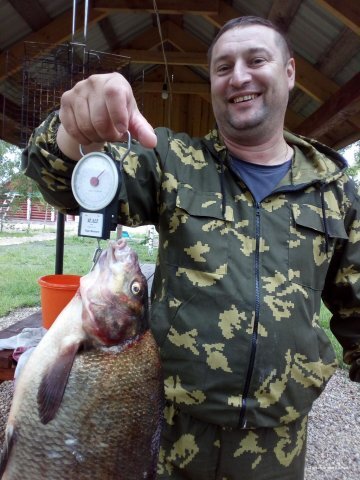 Фото У озера