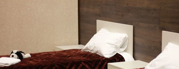 Фото Глобус Hotel City