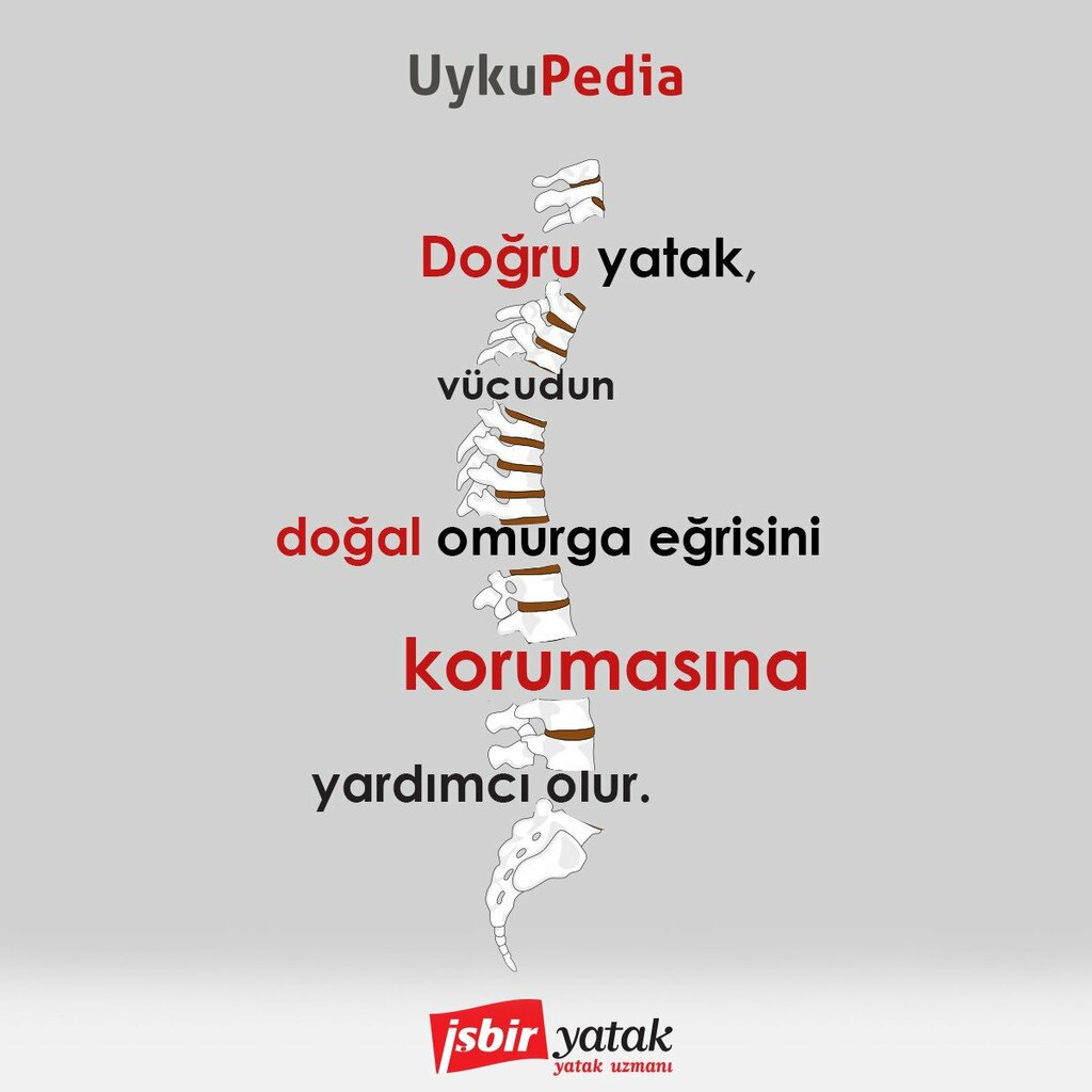 İşbir Yatak Etiler Uyku Merkezi, yatak üreticileri