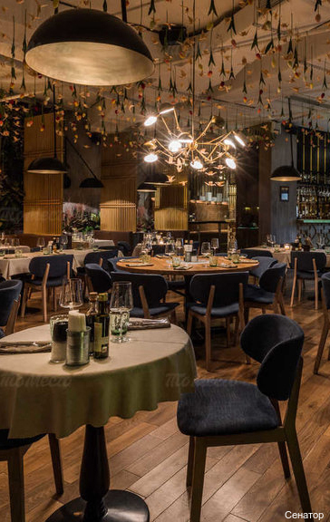 Фото Сенатор