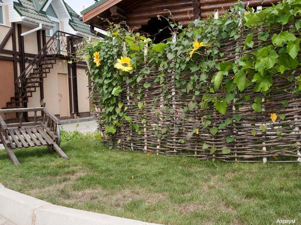 Фото Атриум