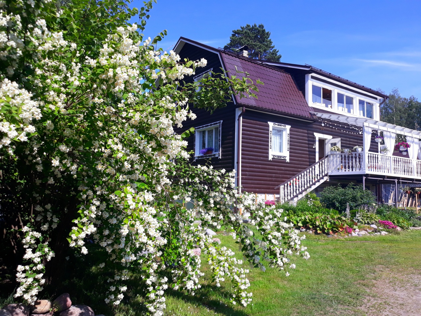 Фото отеля 1