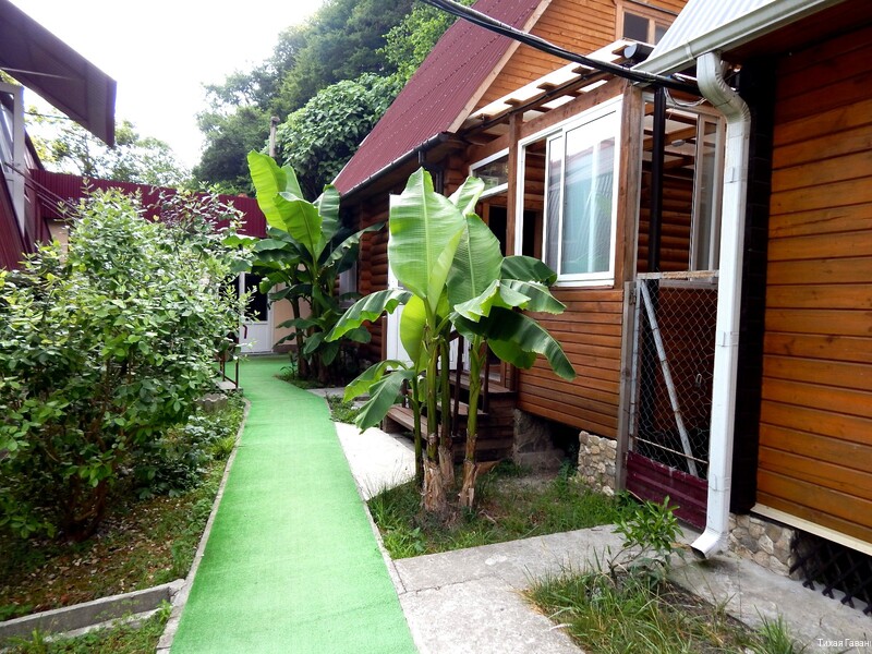 Фото Тихая Гавань