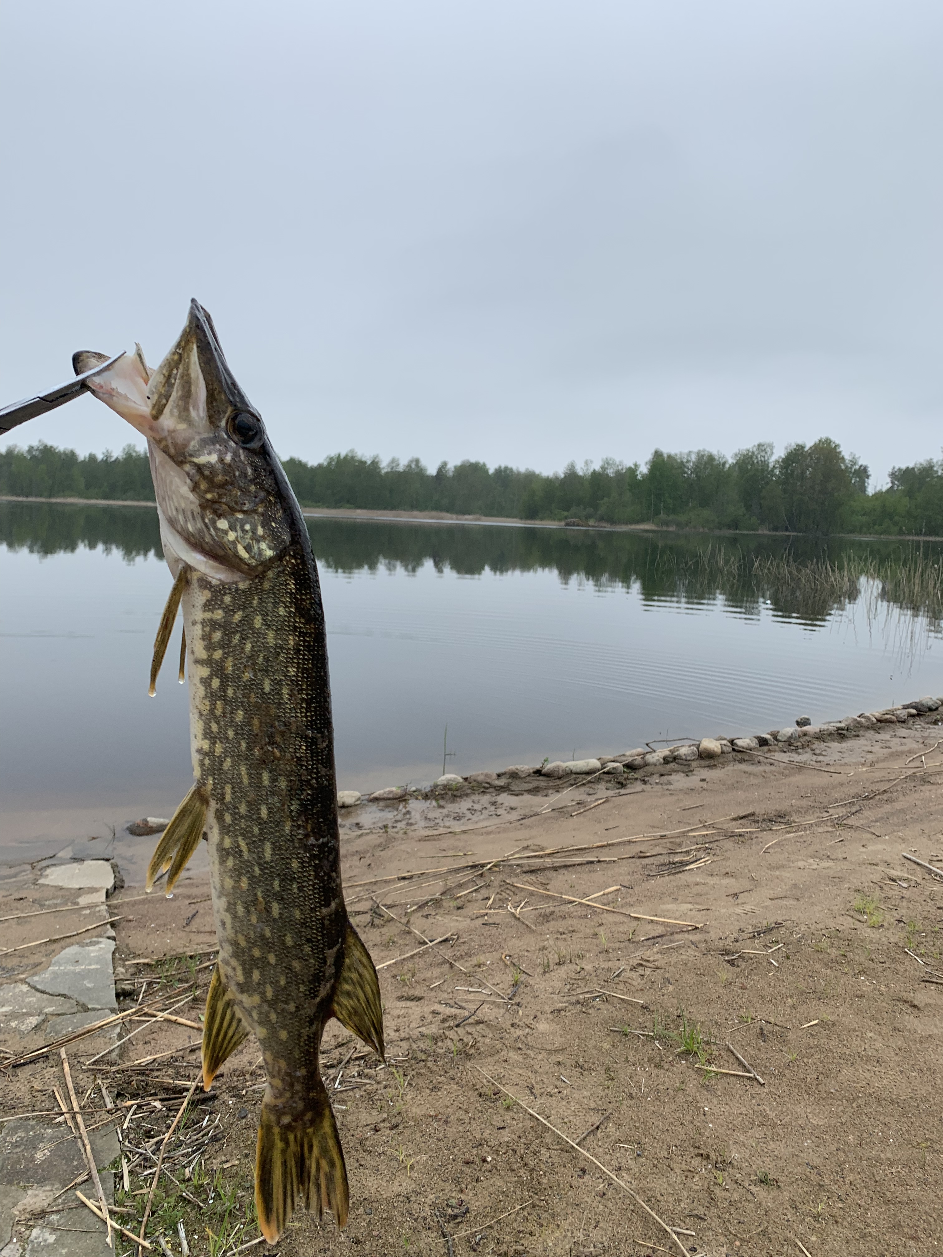 Фото Рыбная Слобода