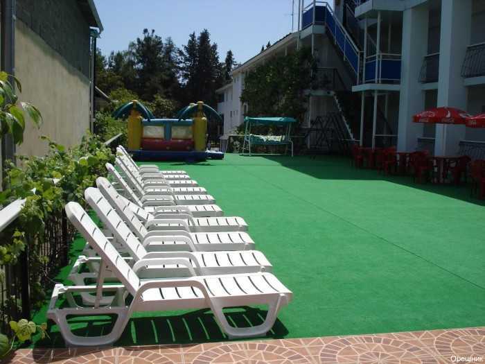 Фото Орешник