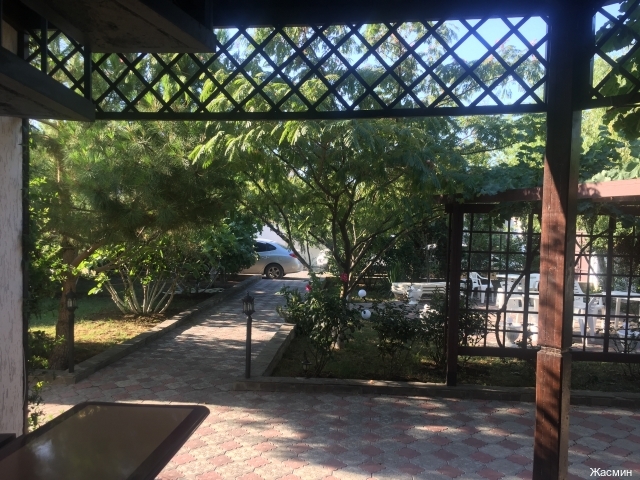 Фото Жасмин