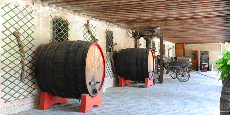 Фото Castello di Roncade