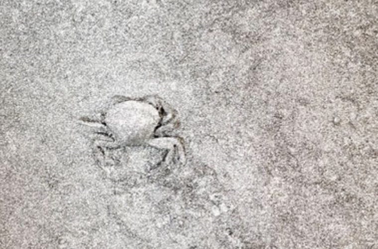 Фото Hotel A La Commedia