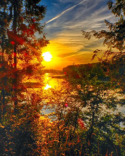 Иное жильё Сосновый бор в Костроме