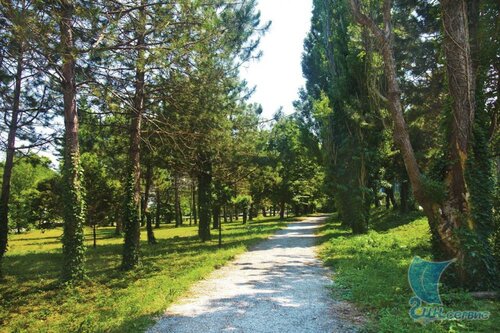 Внешний вид отеля Санаторий Архипо-Осиповка в Архипо-Осиповке, фото 4