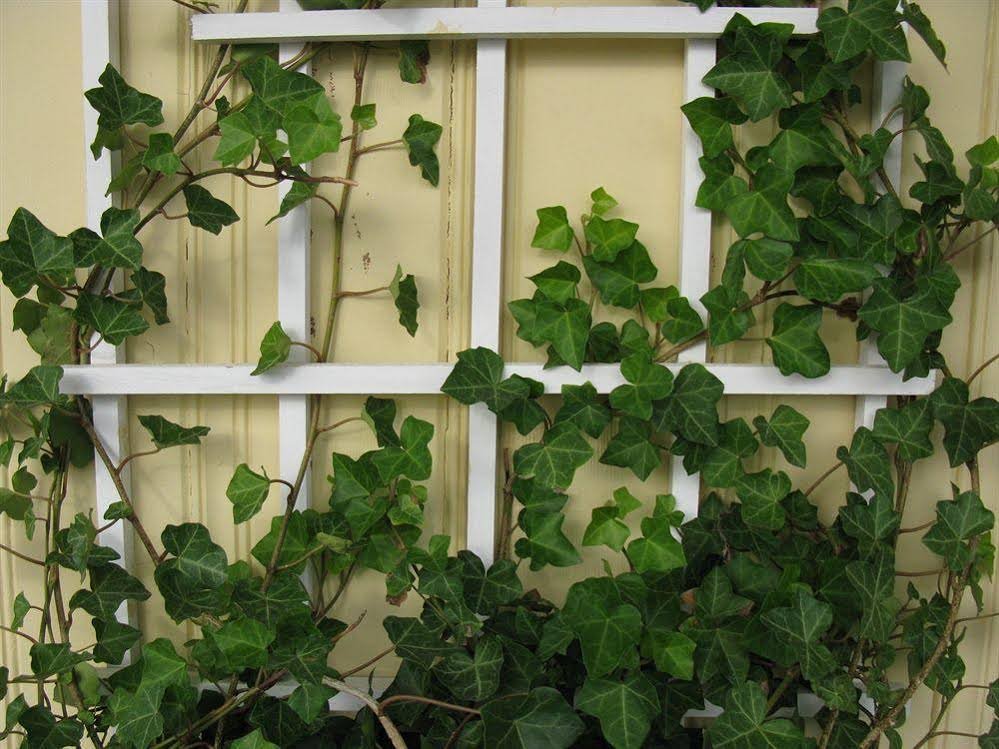 Фото Banbridge Inn