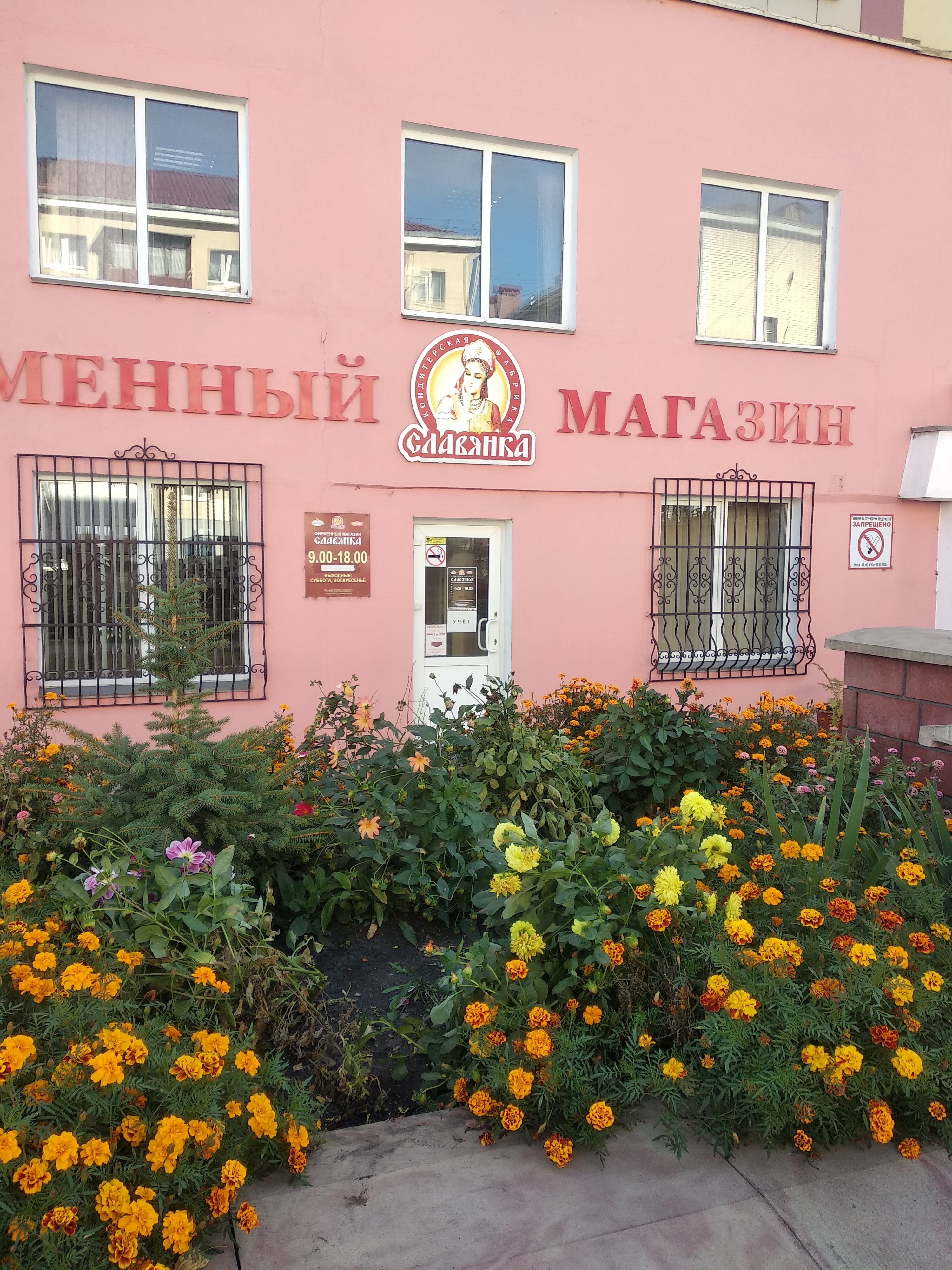 Қыз сикке отырғанда есегін шайқайды