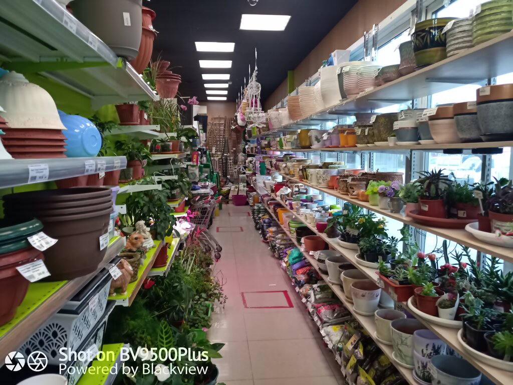 Gardening shop ЗеленГрад, Artem, photo