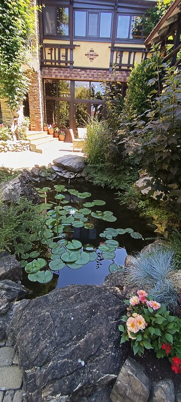 Мане — фото 45