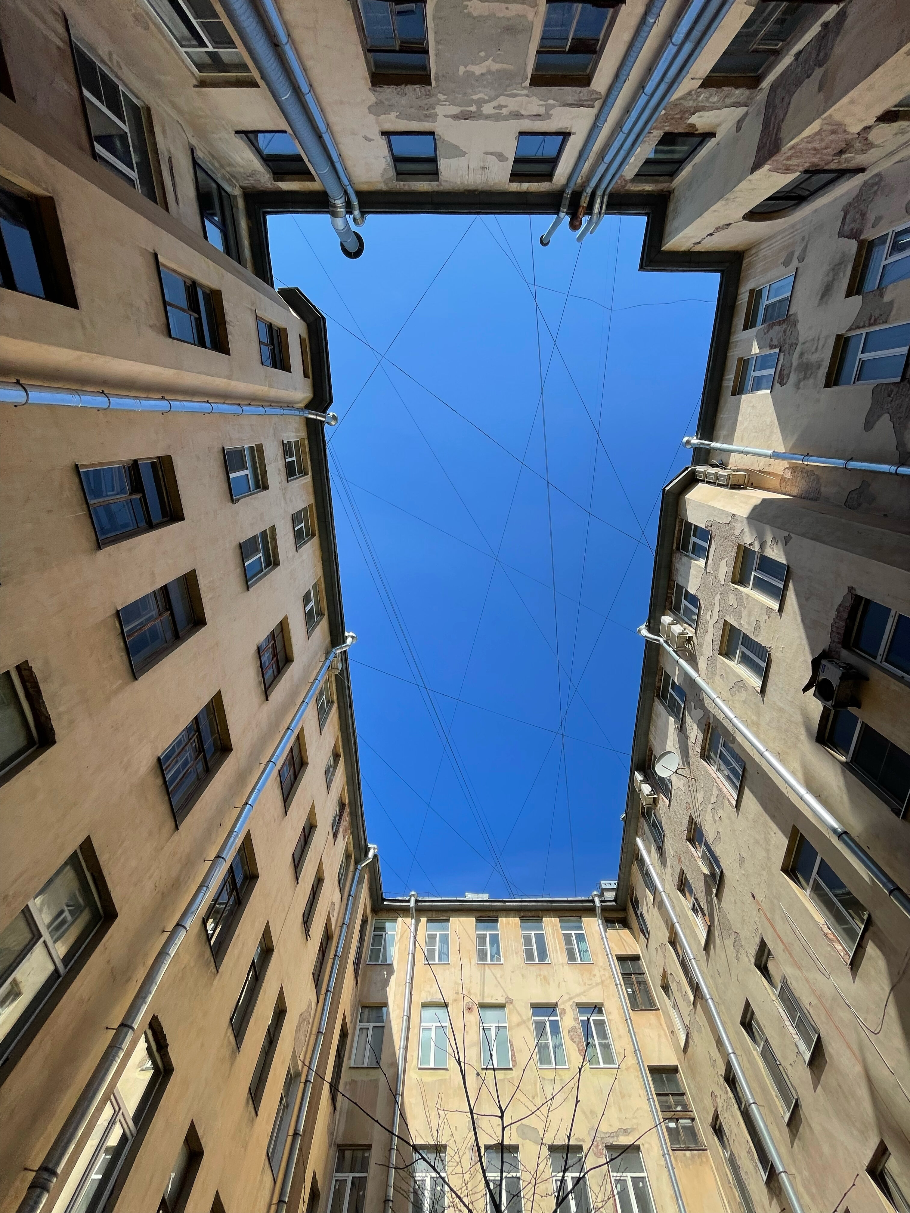 Фото У Эрмитажа