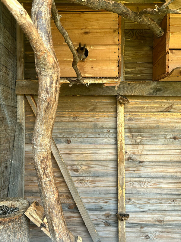 A-frame Долина Жуки — фото 16