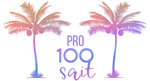Pro100sait (Ladozhskaya Street, 13), estudio de diseño web