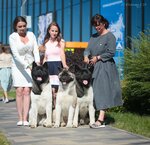 Heavenly Light (Leningrad Region, Volosovo, prospekt Vingissara), animal nursery