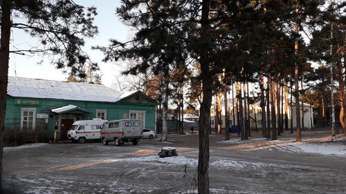 Hospital TsRB, Shenkursk, photo