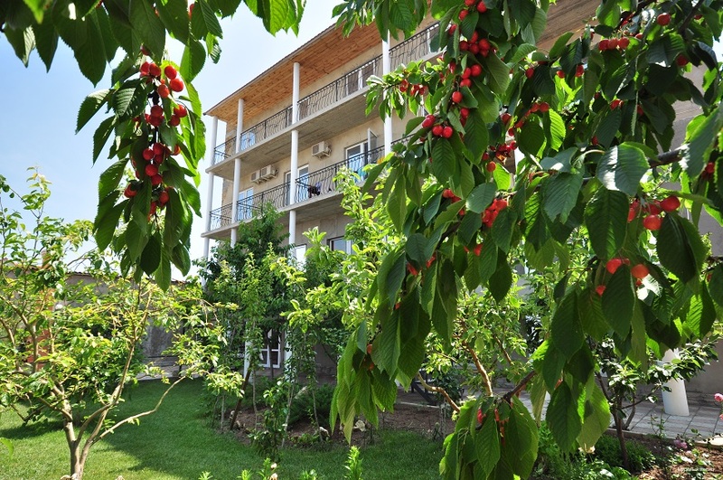 Фото отеля 5