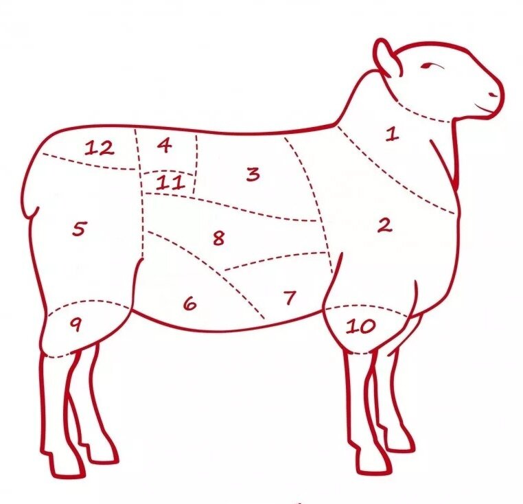 Вырезка говяжья где находится схема