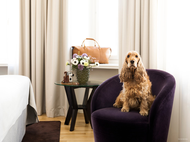 Фото Elite Hotel Esplanade