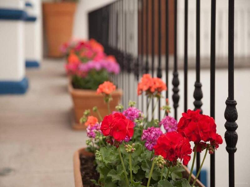 Фото Casa Pepe Hostel Boutique - Puebla