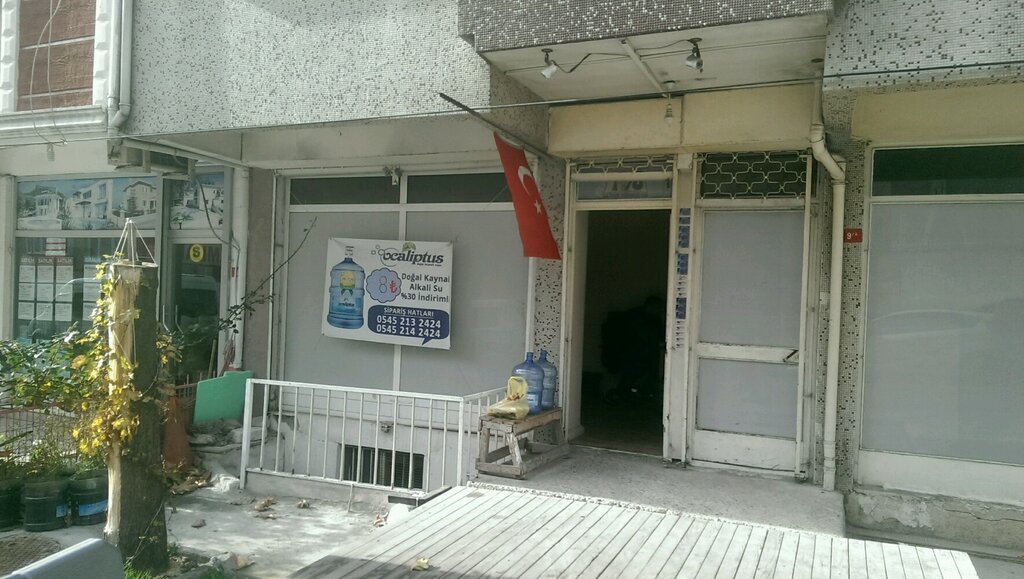 Web design studio Gonce Informatics, Istanbul, photo