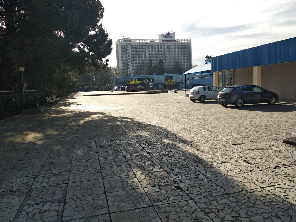 Карта ленина 219 адлер