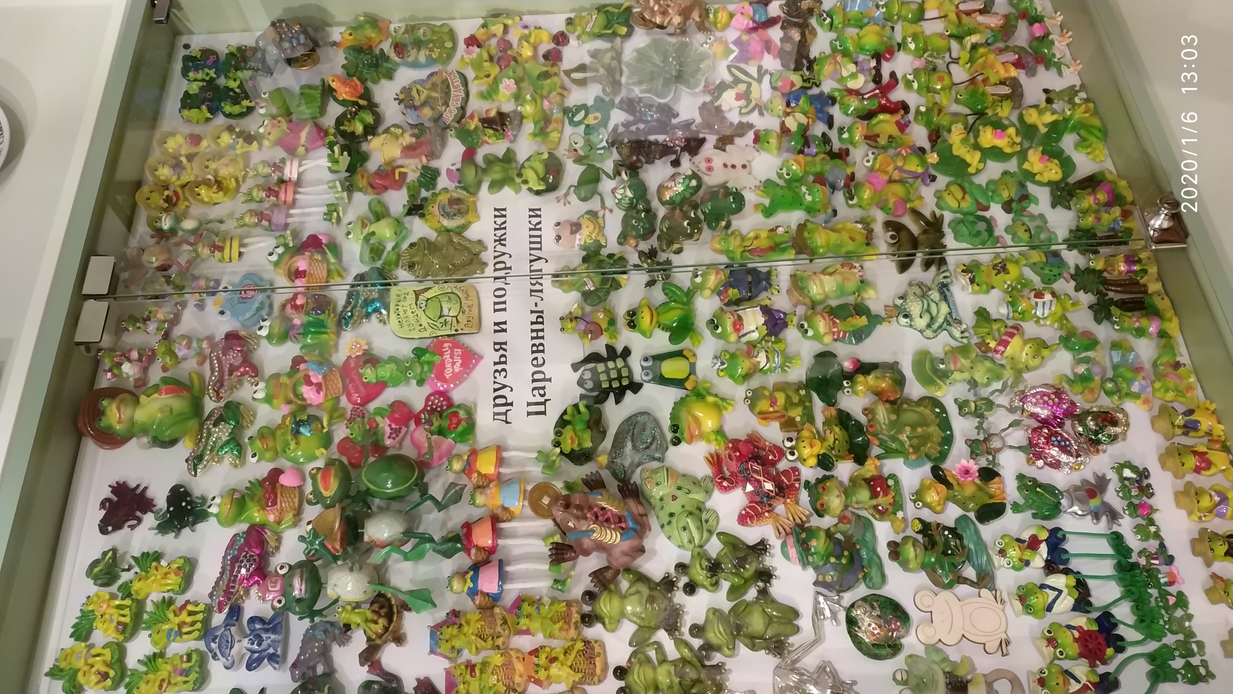 Фото Царевна-лягушка