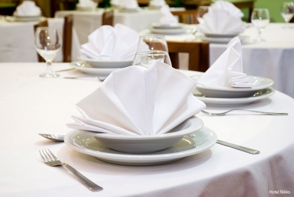 Фото Hotel Nikko