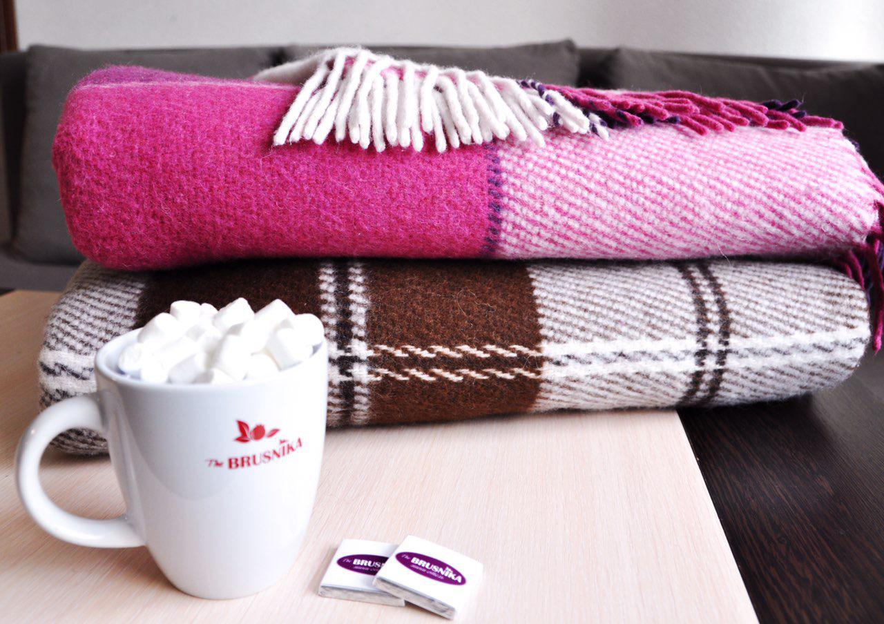 Фото Брусника