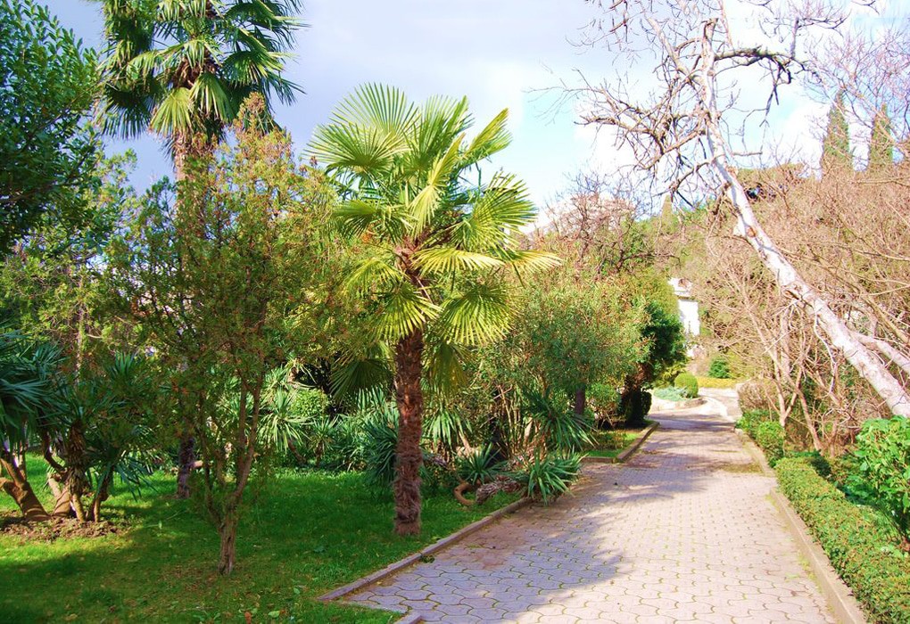 Фото Отрадное Вилла