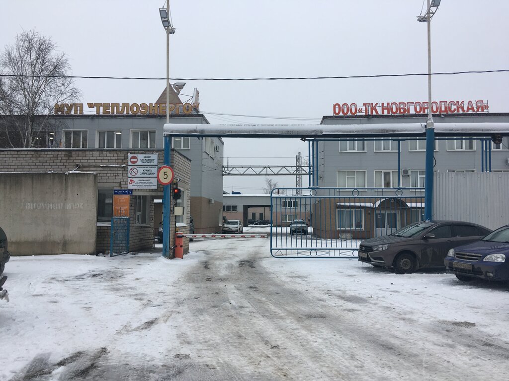 Лето лето великий новгород ул нехинская фото