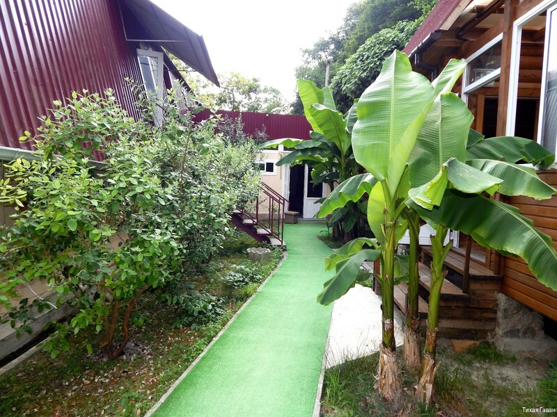 Фото Тихая Гавань