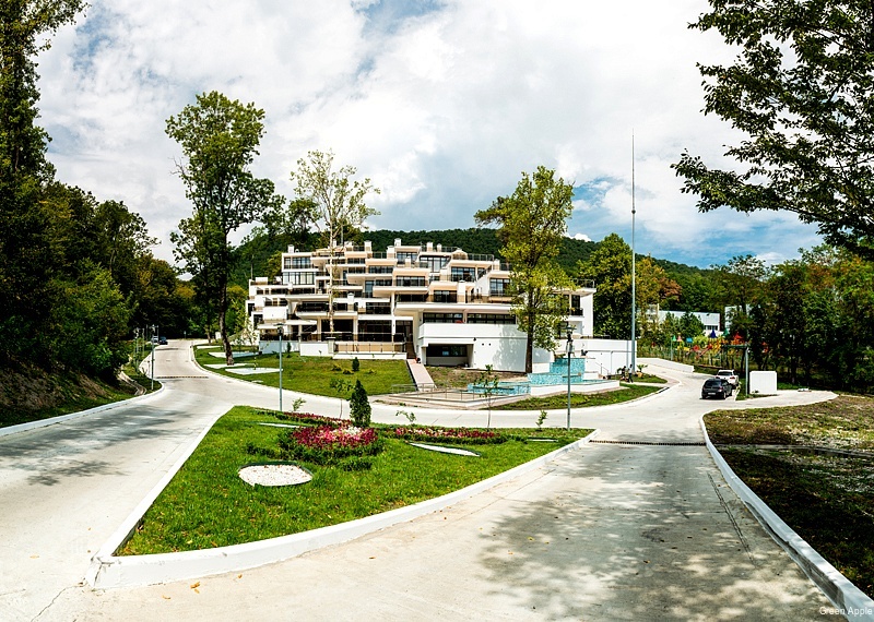 Фото Green Apple