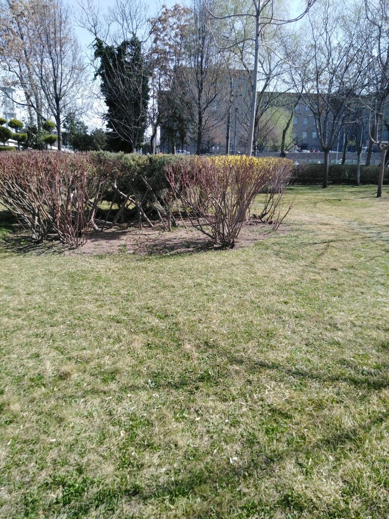Parque forestal Ankara Metropolitan Municipality Park, , foto