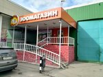 Chetyre Lapy (Shosseynaya Street, 1/2с4), pet shop