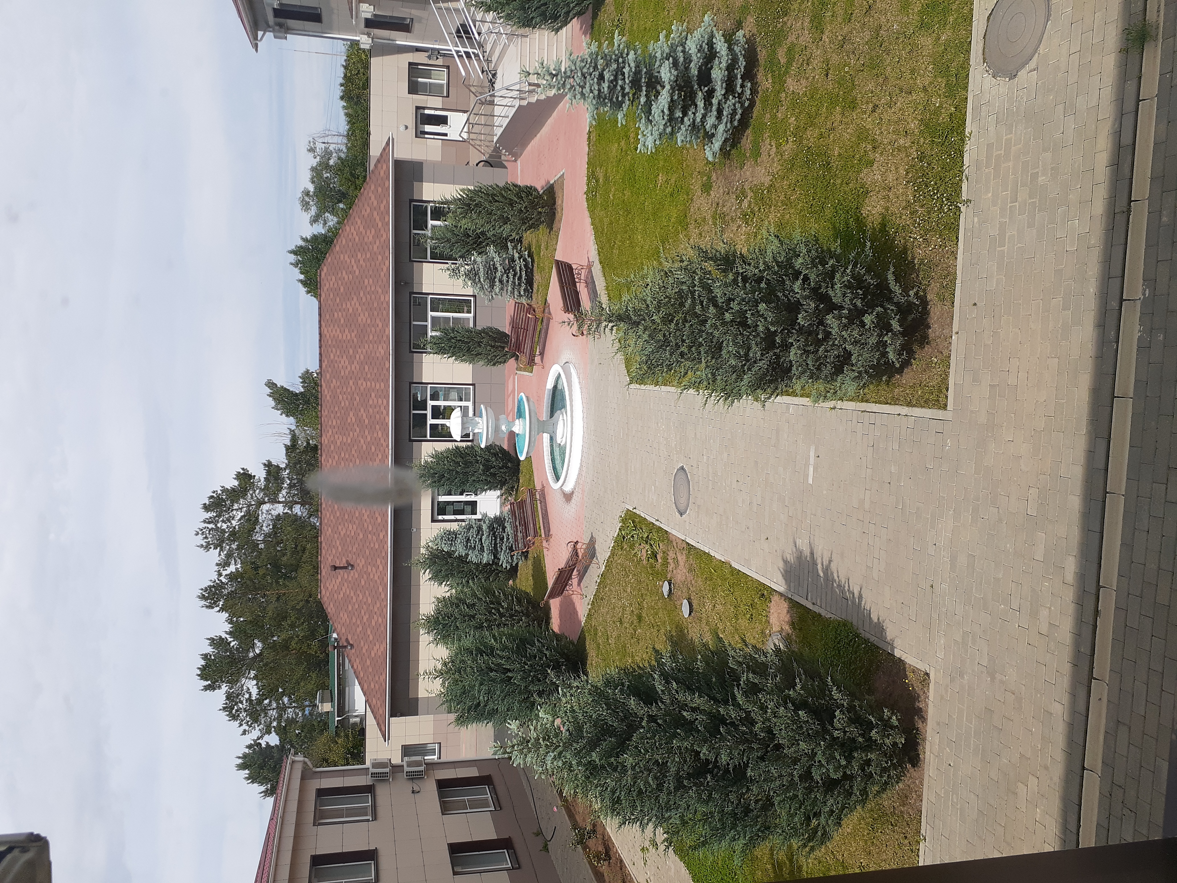 Фото Жемчужина