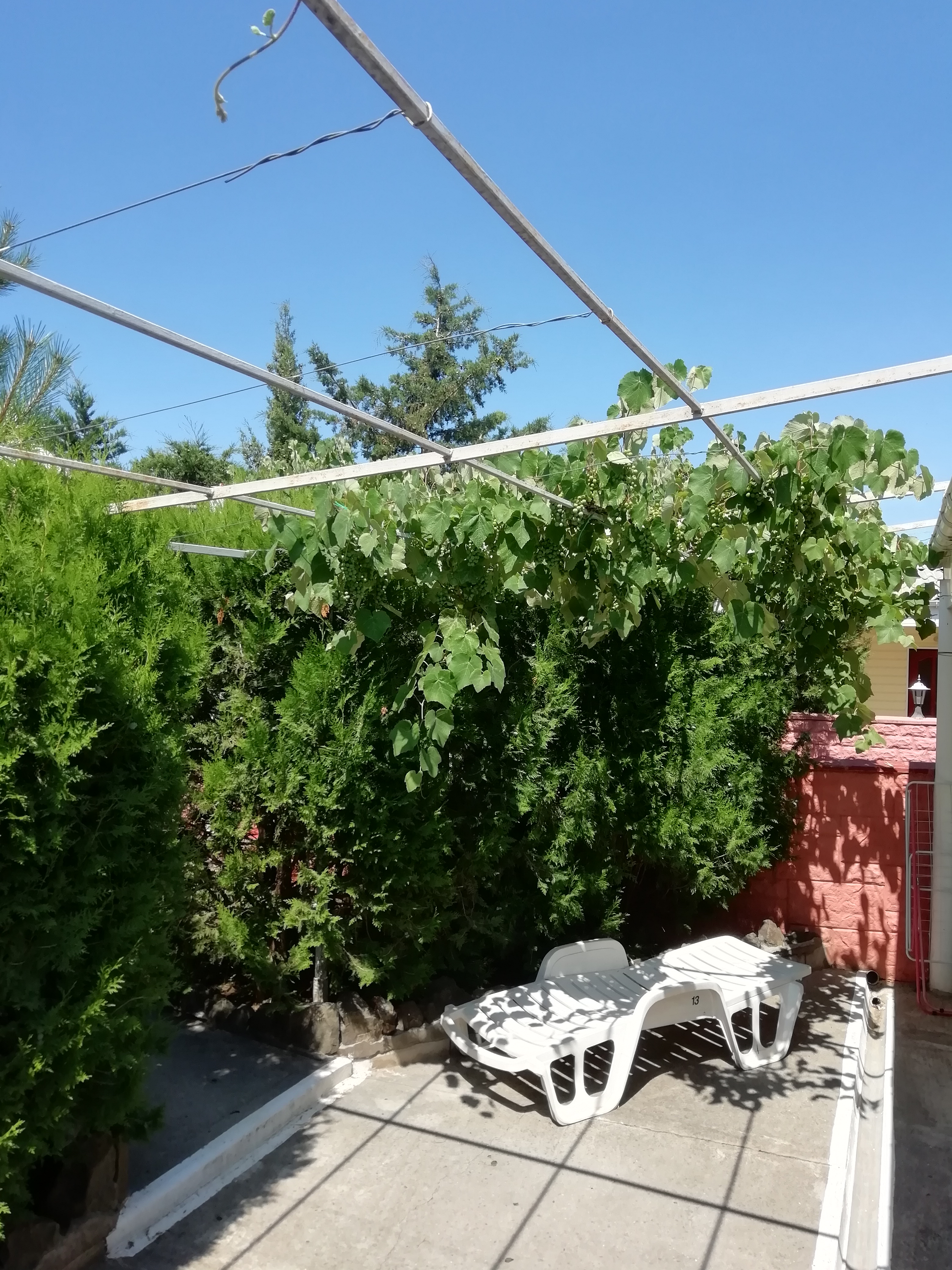 Фото Лукулл