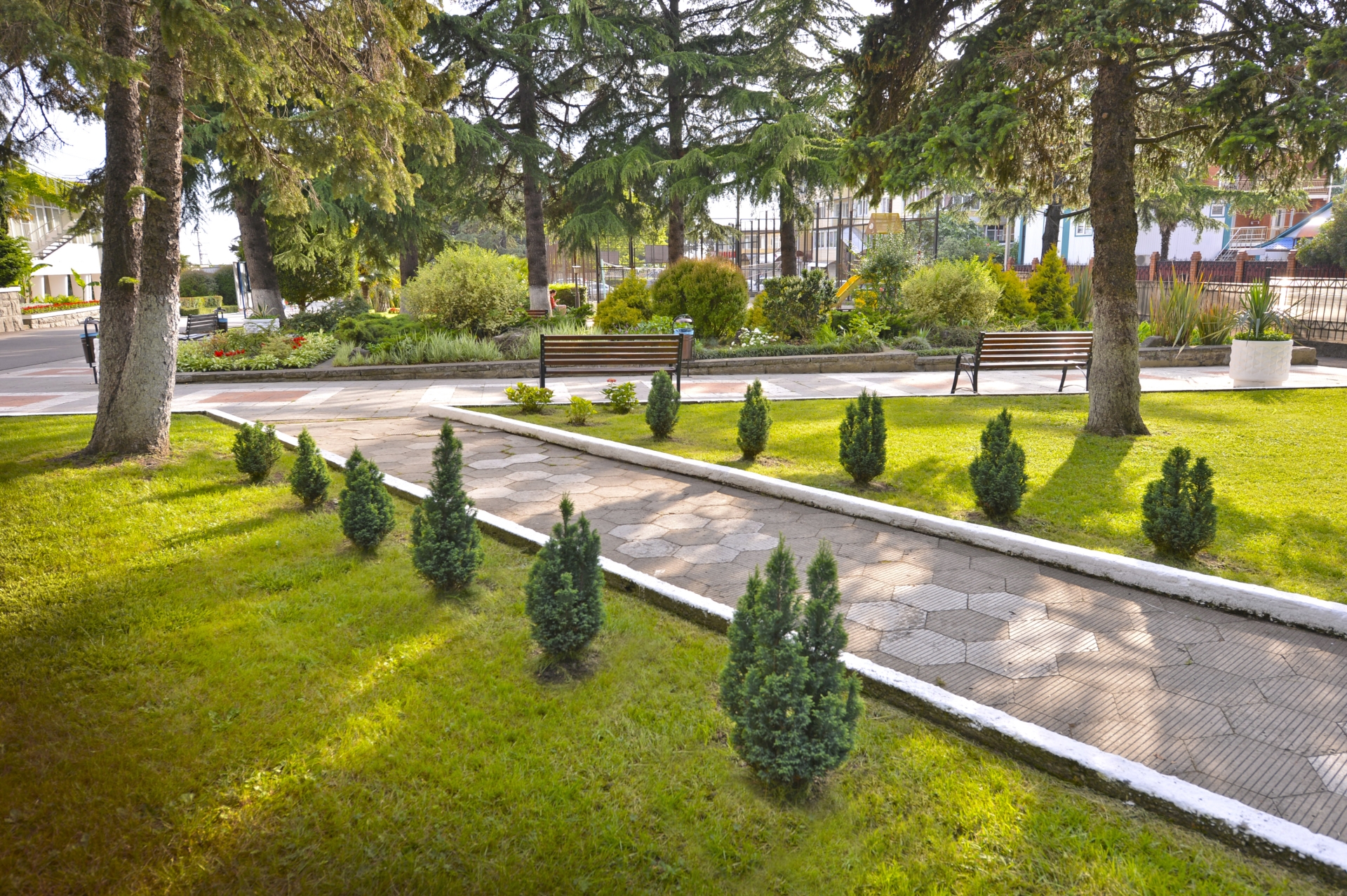 Фото Бирюза