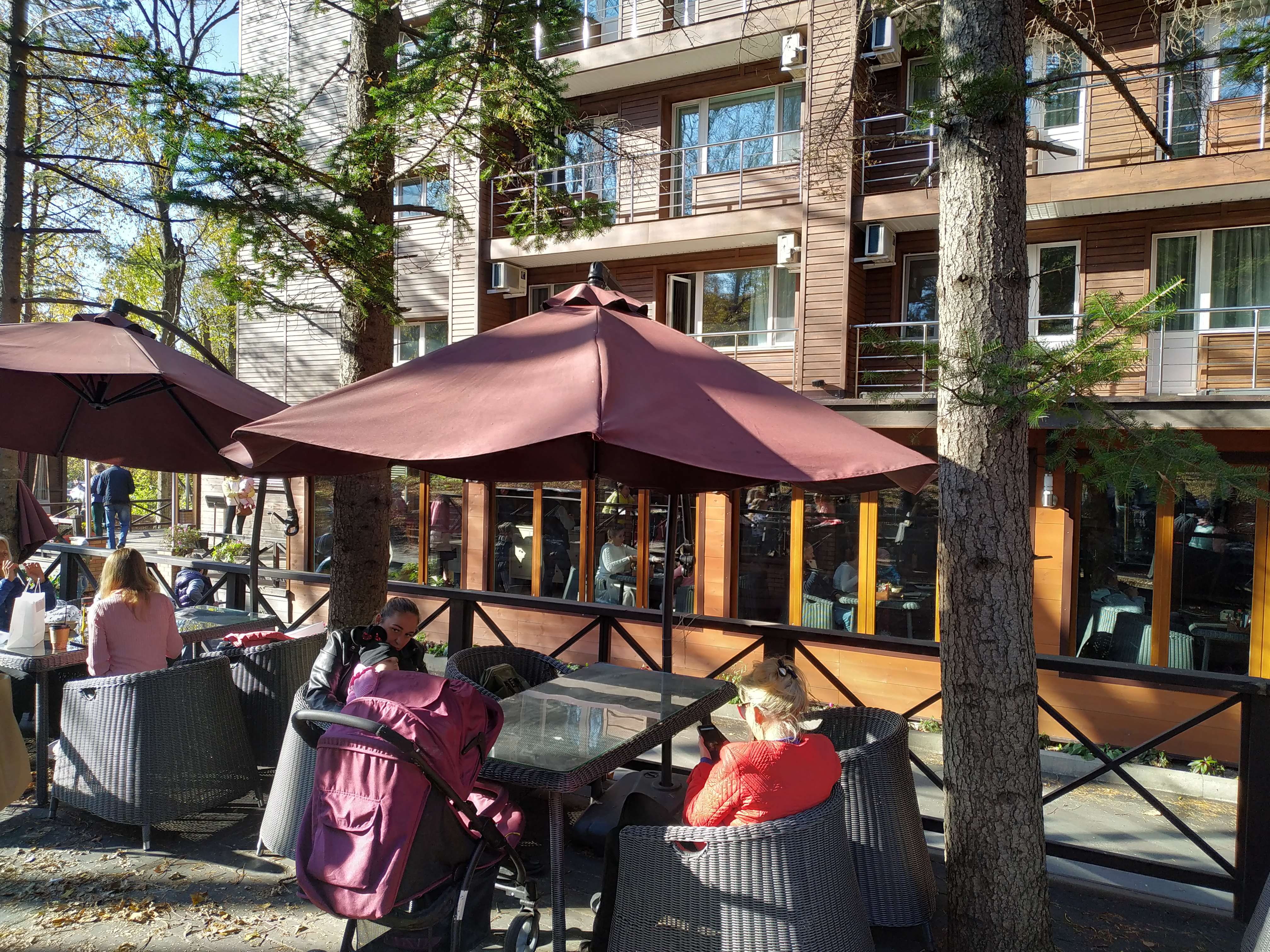 Фото Аврора 